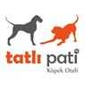 Tatlı Pati Köpek Oteli - Ankara